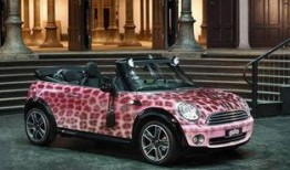 宝马mini爆料原视频,原视频揭秘设计亮点与性能参数